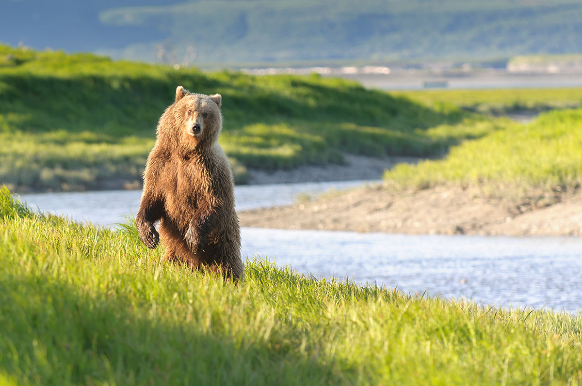 alaska travel facts