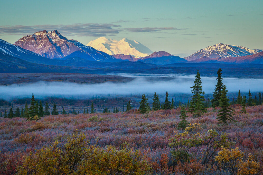 Denali National Park in fog