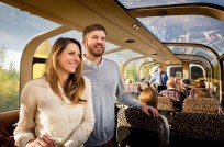 Couple in a rail car