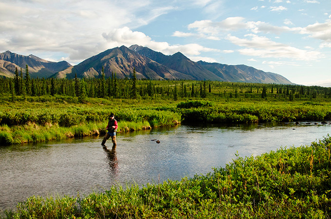 alaska fly fishing expedition case study alaska fly fishing expedition case study