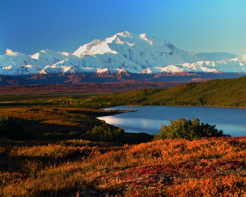 denali travel liner