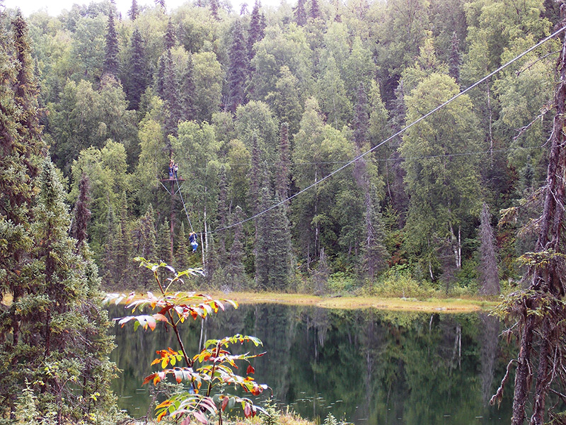 Talkeetna Zipline Adventure Gray Line Alaska