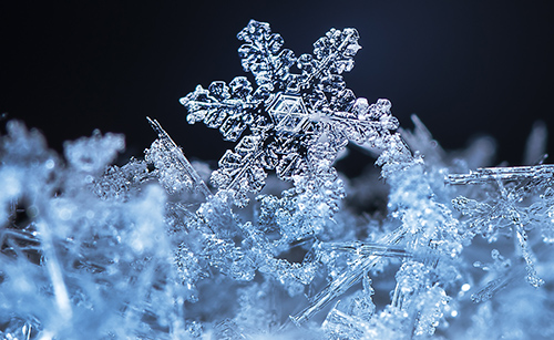 The Science Of Snowflakes Gray Line Alaska