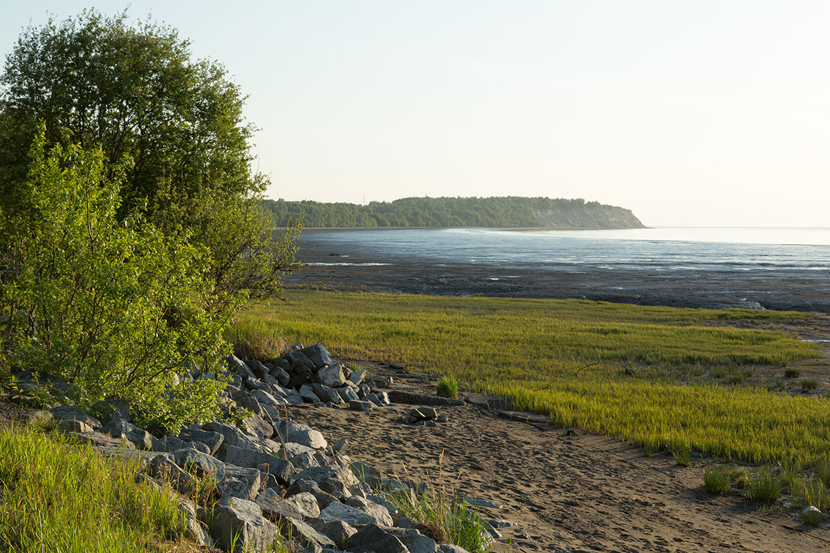 Tony Knowles Coastal Trail