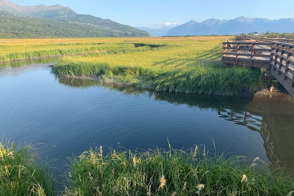 Potter Marsh Bird Sanctuary in Anchorage, Alaska