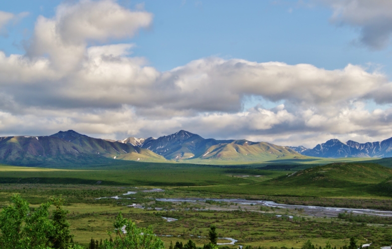 Denali - the highest peak in North America - measures 20,310 feet.