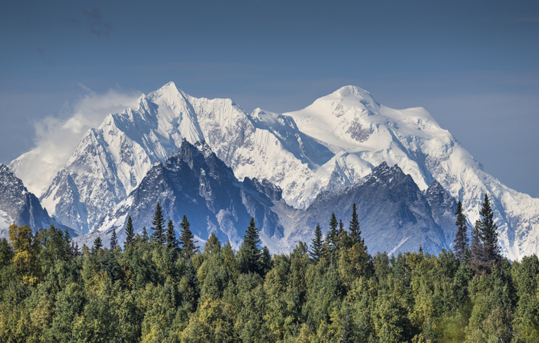 Stunning peaks of the Alaska range jutting out above trees