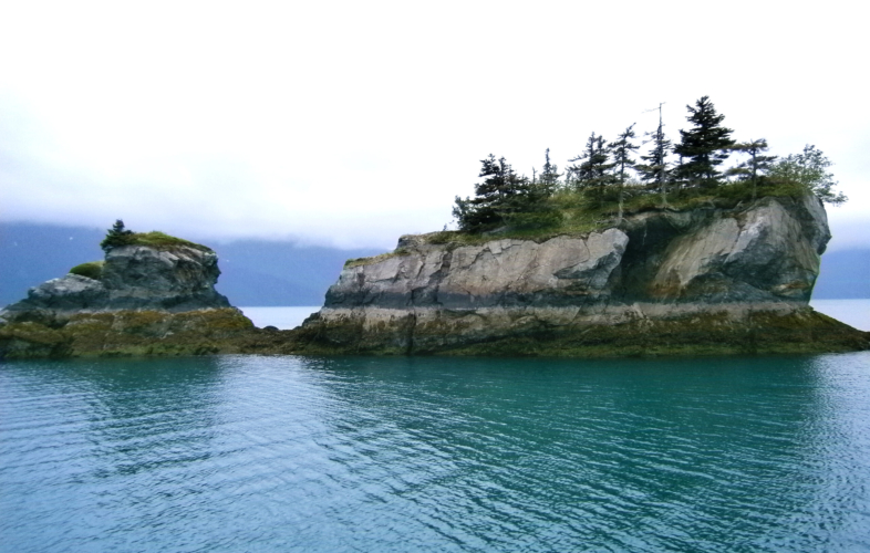 Tiny Island covered in trees in Prince William Sound