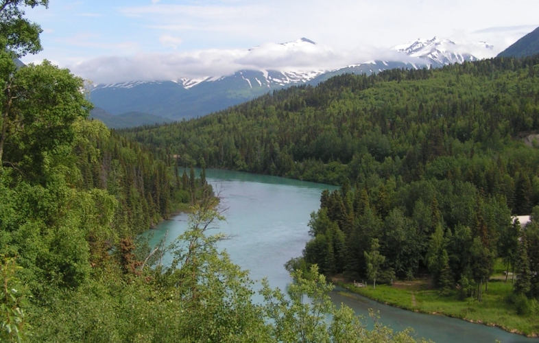 The turquoise waters of the Kenai River