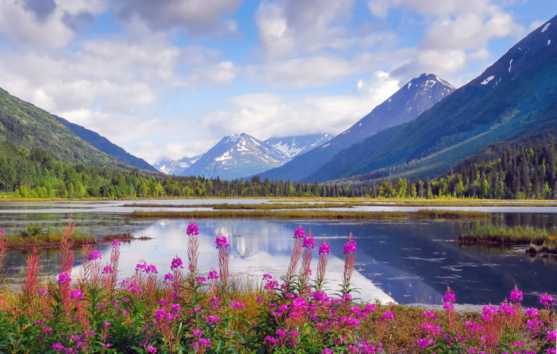 Tern Lake with fireweed in the foreground