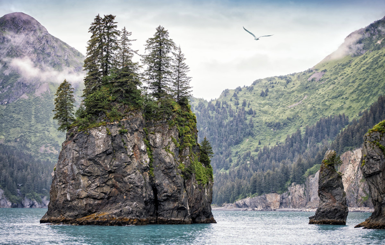 Small, rocky islands in Kenai Fjords National Park