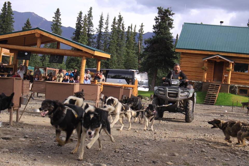 DogGoneIt Kennel Tour Gray Line Alaska