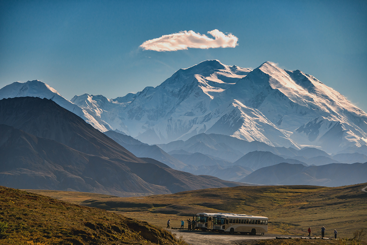 Busses in Denali National Park