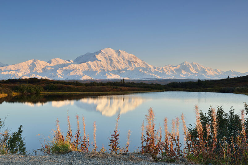 denali travel liner