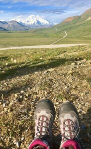 Hiker in Denali National Park