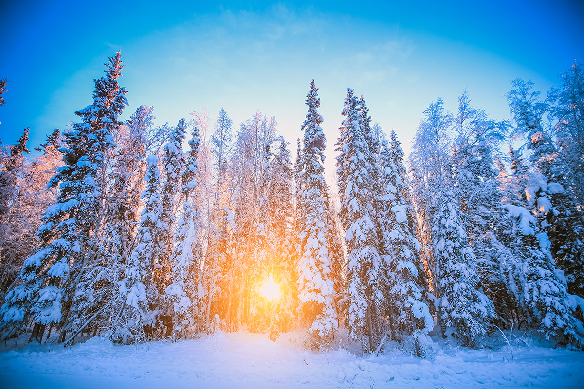 Winter sun in Fairbanks