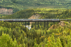 rail tour to denali alaska