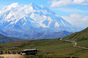 escorted tour of denali national park by motor coach